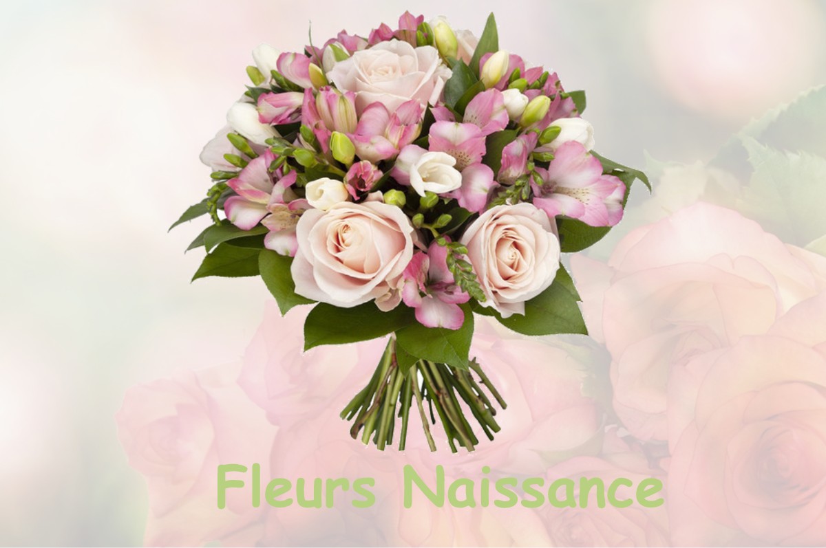 fleurs naissance LE-PLESSIS-DORIN