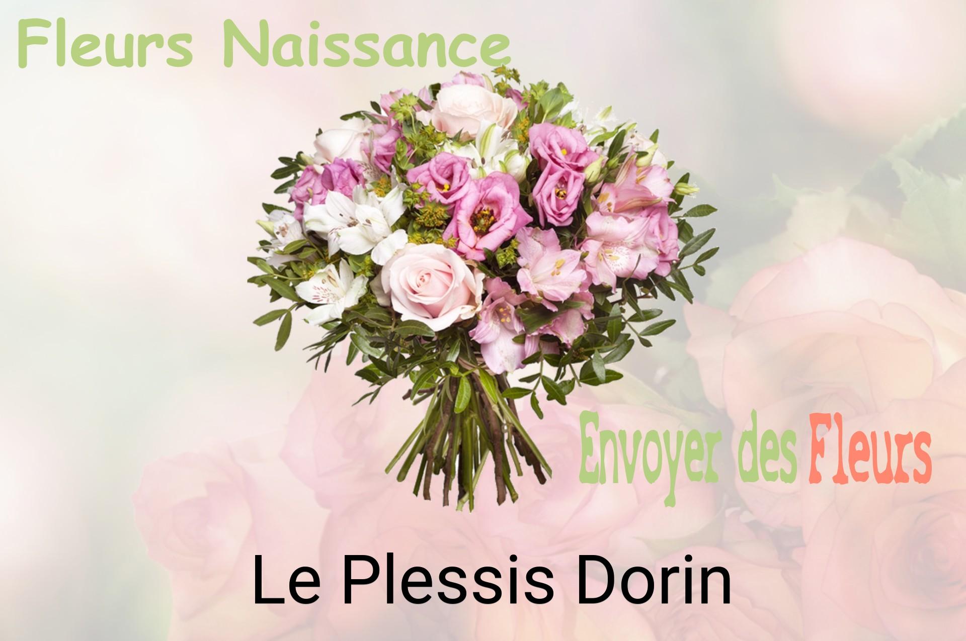 Bouquet de fleurs de naissance livré à Le Plessis-Dorin