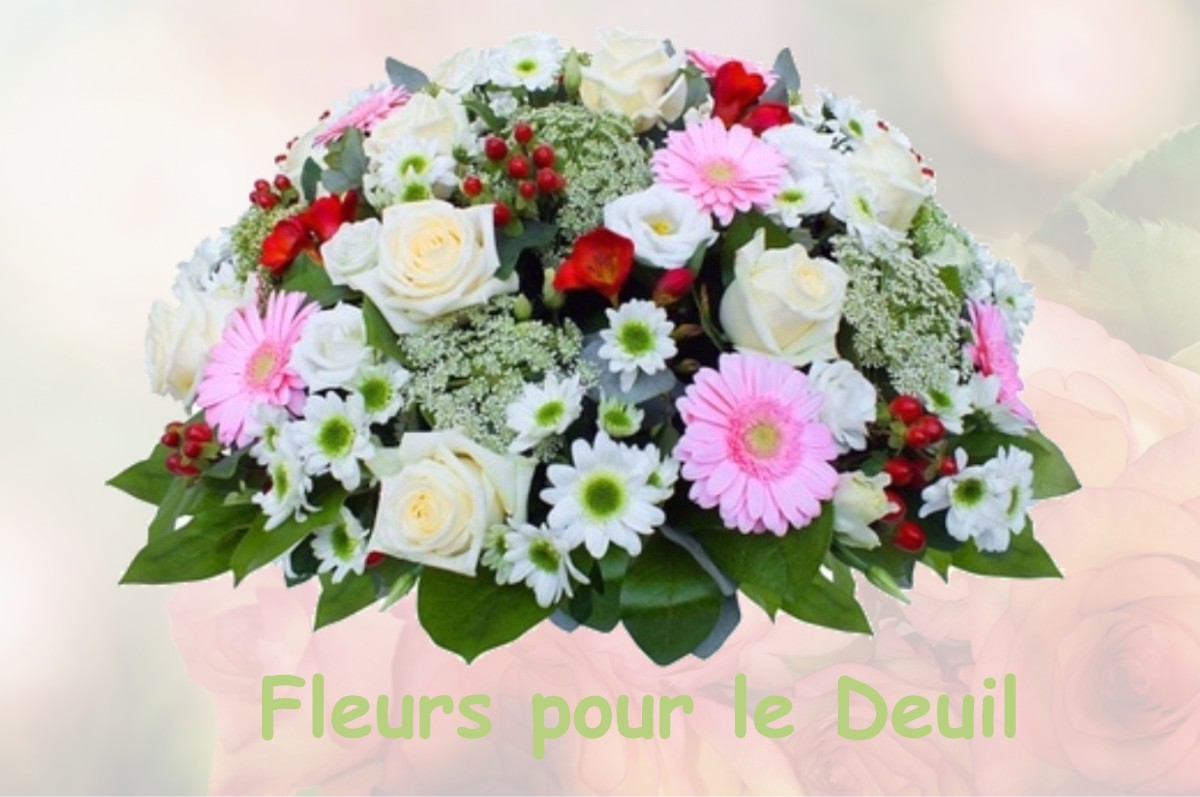 fleurs deuil LE-PLESSIS-DORIN