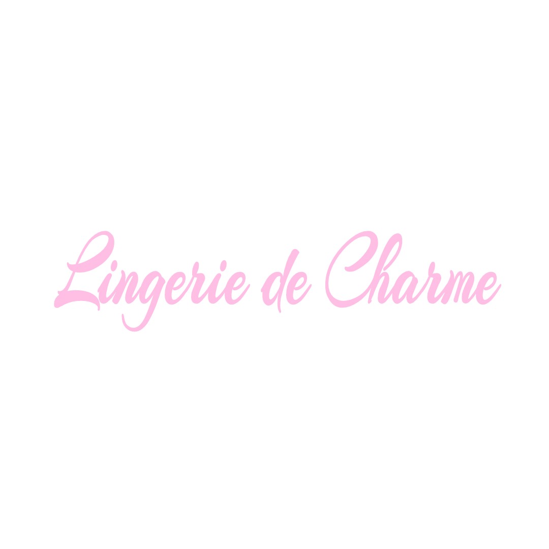 LINGERIE DE CHARME LE-PLESSIS-DORIN